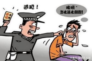 争议专区：舒适还是懒惰？