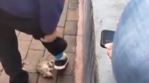 老鼠钻进裤腿和洗衣机内壁，分别预示着什么吉凶，该如何应对？