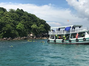 国际海滨度假天堂