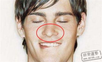 鼻根高度及其婚恋影响