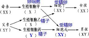 3.1 实证探究发觉概览（见附图）