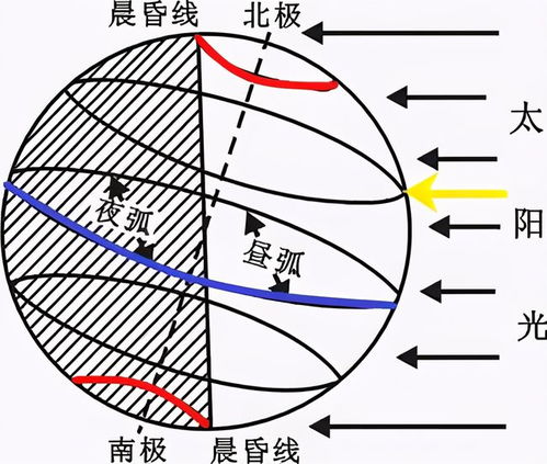 卯时：日出东方，兔为月精