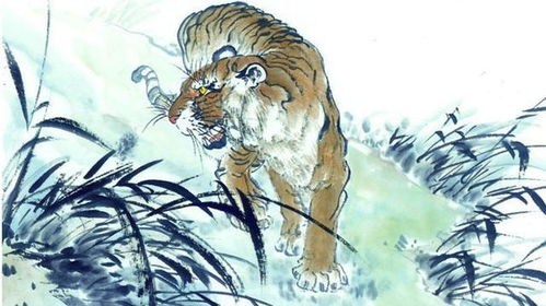 2026年属虎86年出生的人运势如何，2025年属虎的招财转运物品是什么？