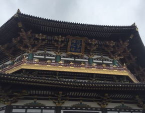 门票省钱大法！穷鬼必看！