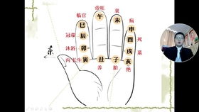 六、 生肖星座作为时间段轴上的参考坐标
