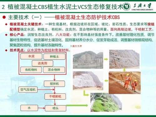 植被混凝土技术手段的核心构成及其功能机理