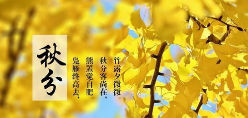 秋分时节气候对人体身体健康状况的作用于