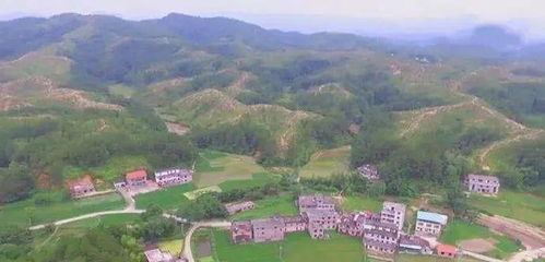 廖文政风水和廖文政墓风水考察有何独特之处？