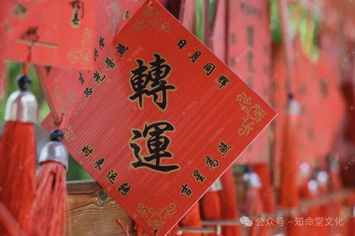1992年壬申诞生者——家宅及身体健康状况关注点