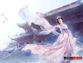 互补性的显现：和谐共生的关系模式