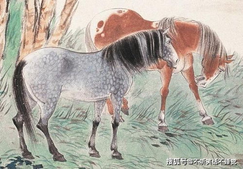 1．生肖属马及其五行属性