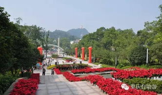 南山植物园：12月的梅花比樱花还惊艳