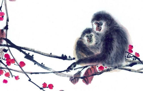 属马老公和属猴老婆的夫妻感情现在怎么样？