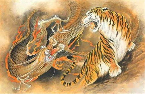 黑虎上墙中的黑虎究竟指的是什么神秘力量？