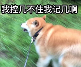 笑声不止