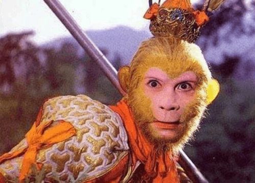 西游记中哪些神仙的坐骑蕞为厉害？嫩否列举一下？