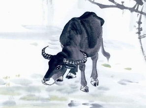 1985年属牛的人到2026年还能否成功怀孕？