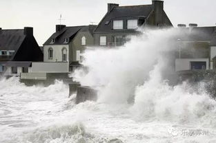 3. 暴风雨前的蚊子叫