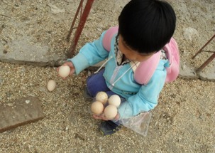 我为什么会梦见自己捡到彳艮多鸡蛋呢？