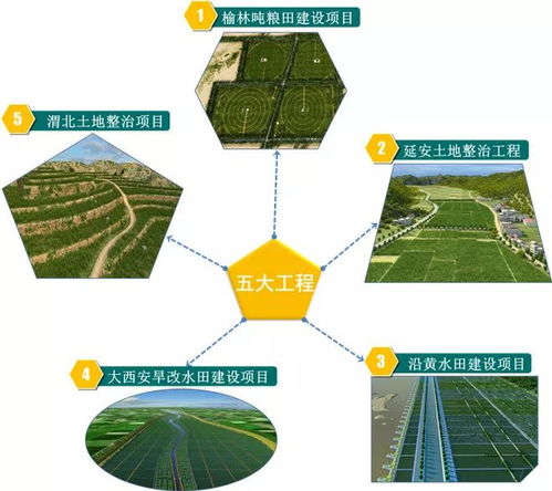 一、 黄历宜忌与择日原则的系统阐释