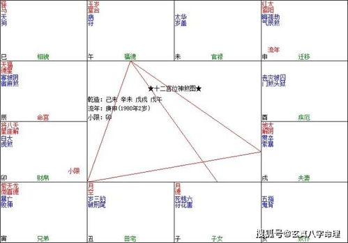 八字结构的主要特征分析