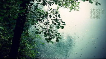 葬后雨：天然现象与文化底蕴符号的交织