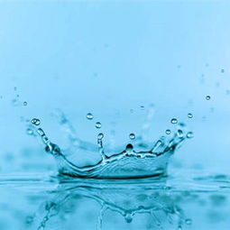 五行相生的力量：金属行业的助力