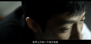 探究背景及现象概述