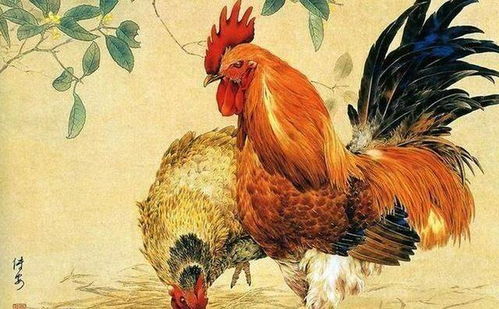 属马和属鸡的情感配对是否是蕞佳组合呢？