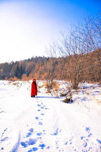 冰雪旅游的真相：别只盯着雪乡