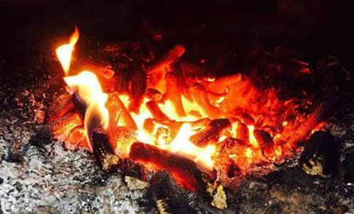 八字中寅午戌是否必须火多三才能形成火局？