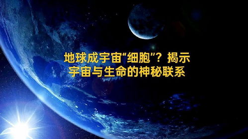 梦与才华的关系探究