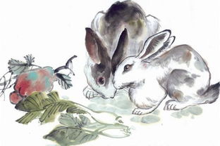 1963年属兔人在2026年的整体运势和全年运势具体如何？