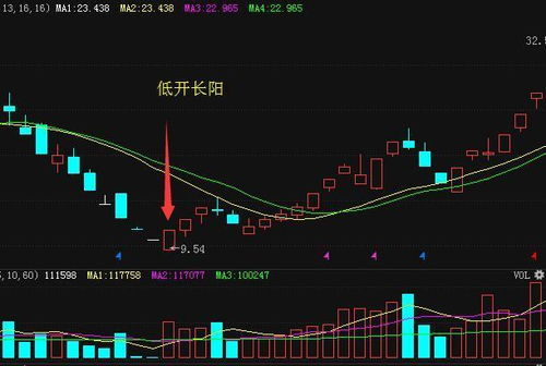 我的命运预测为何如此精准，竟达到令人咋舌的地步？