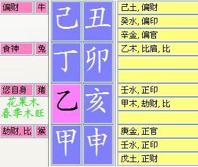 一、报考条件框架及其在人口数量结构中的定位