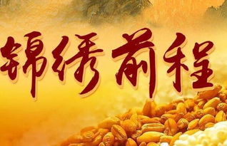 导论：白莲之姿与社会周边环境接收度的