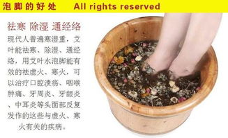 四、  卫外功能的强化：艾草在抗过敏与敏感肌护理中的应用