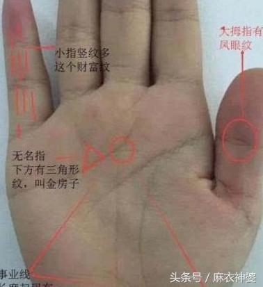 一、关于配偶曲长度及其对人生轨迹所产生之预示