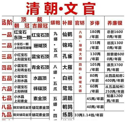 基本定义与核心功能