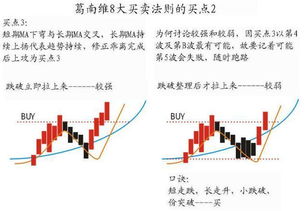 （二）骨骼形态与体质特征的关联