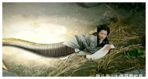 第四章：神话人类学视域下的女娲崇拜与蛇身图腾