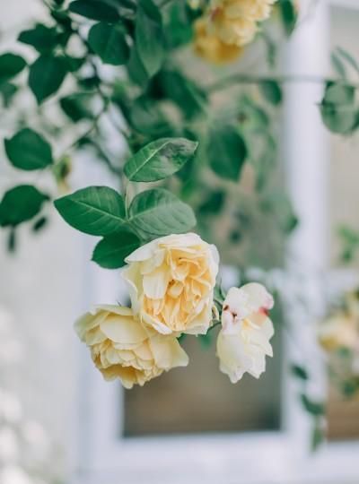 爱情？呵呵，不如吃火锅