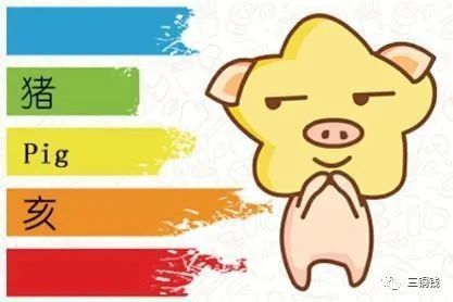 11月属猪人运势分析好坏具体表现是什么？