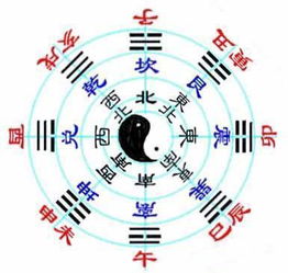 二、  星座感应差异与周边环境频率的量子共振解析