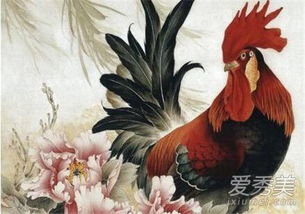 属鸡男的性格特点有哪些？