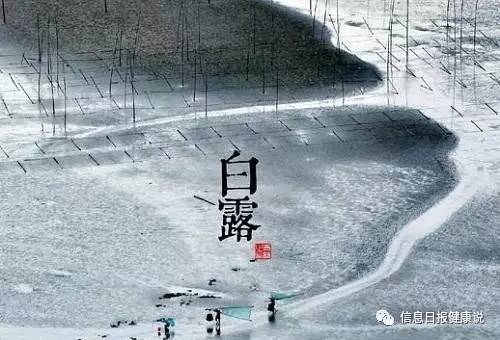 白露三候：鸿雁之来、玄鸟之归及群鸟养羞