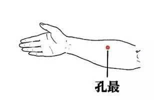 二、 中医经络学说与现代化气血动力学视角下的止咳机理
