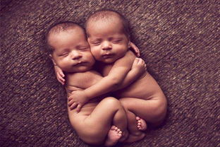 双胞胎八字命运如何分别算？