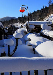 个人经验：我的雪乡之旅教训