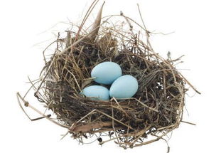 梦见摘药材预示着什么吉凶？